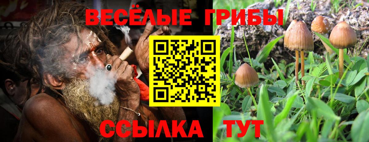 Гатчина  Галлюциногенные грибы MAGIC MUSHROOMS  Вход с VPN 